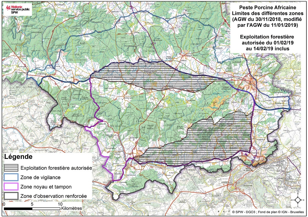 Peste porcine africaine : la gestion des bois scolytés en province de Luxembourg